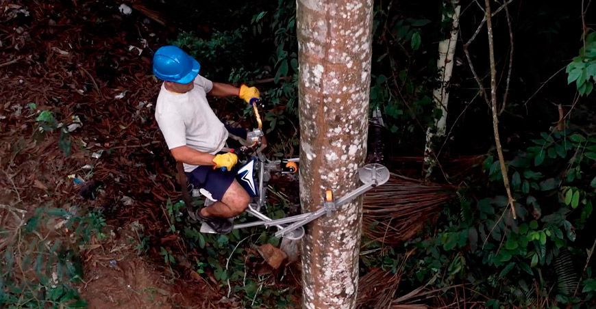 The Vertical Bike