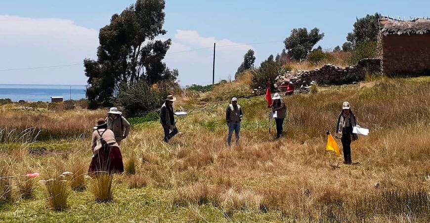 saneamiento físico legal de la propiedad agraria