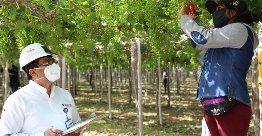 Sunafil trabajadores agrarios empresas agroexportadoras