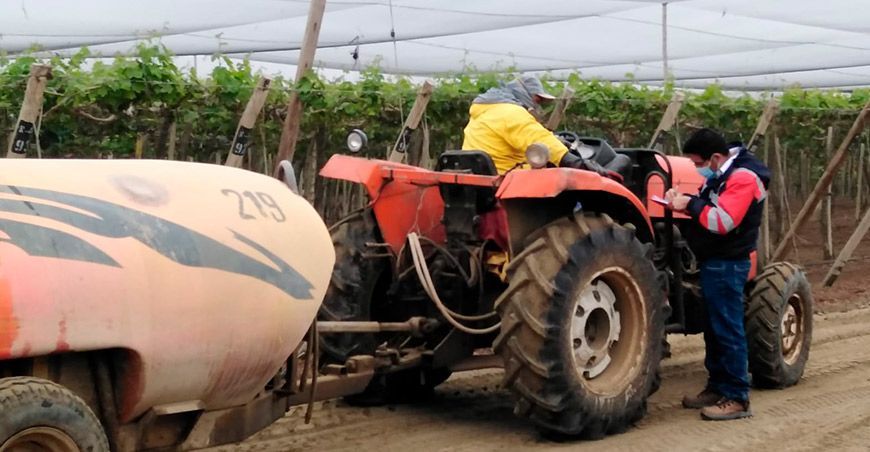 Sunafil comprobó la vulneración de derechos laborales en agroexportadora de Ica