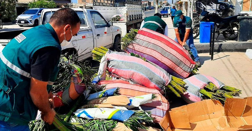 Senasa decomisa productos agropecuarios carentes de certificado sanitario