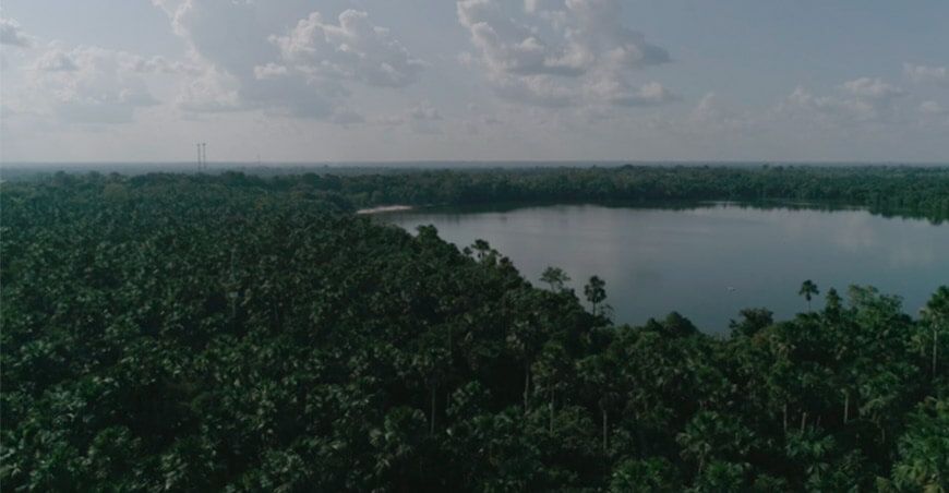 Turberas de Loreto almacenan más de 3 mil millones de toneladas de carbono