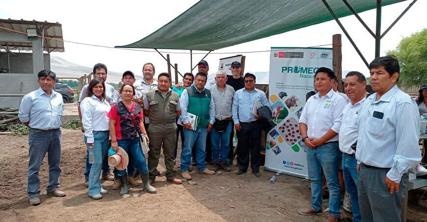 INIA capacitó en ultrasonografía de bovino a productores, estudiantes y profesionales