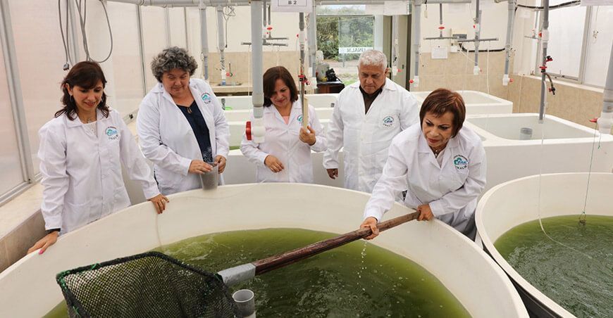UNALM presentará proyectos que aportan a la seguridad alimentaria y a promover la agricultura sostenible