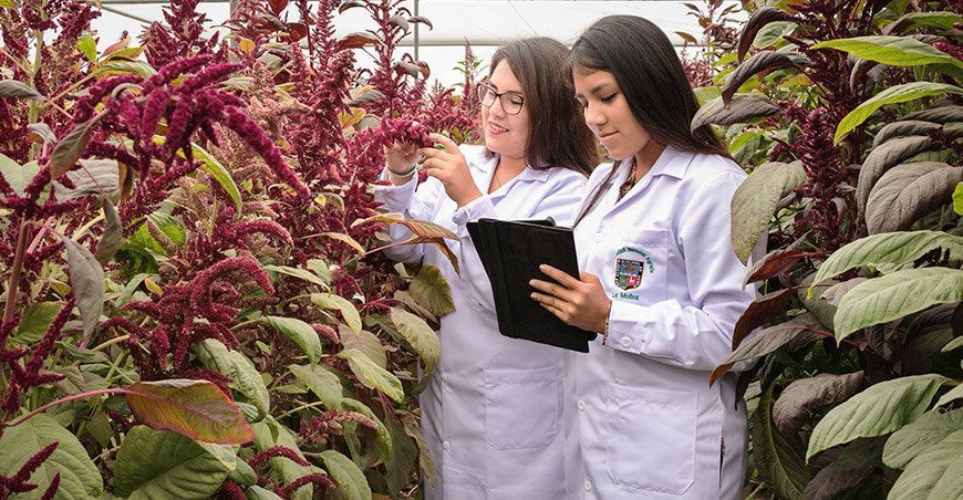 UNALM organiza la semana de la investigación, desarrollo, innovación y emprendimiento