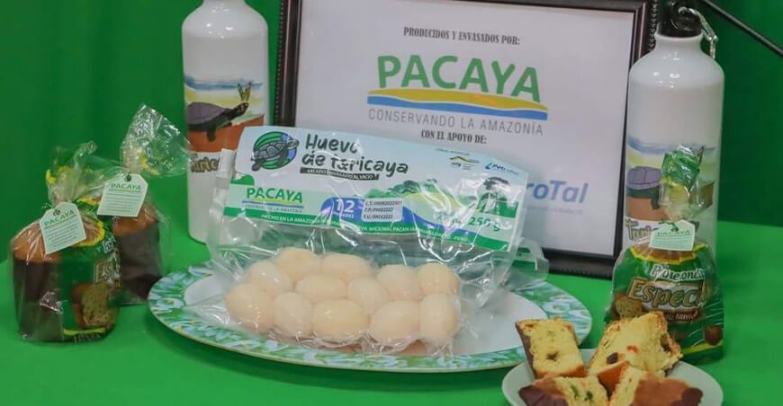 egresada de la UNAP crea empresa que da valor agregado a los huevos de taricaya