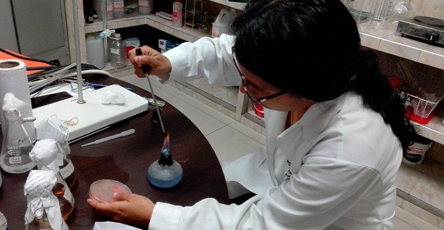 Investigadores aíslan levaduras con potencial para producir biodiésel