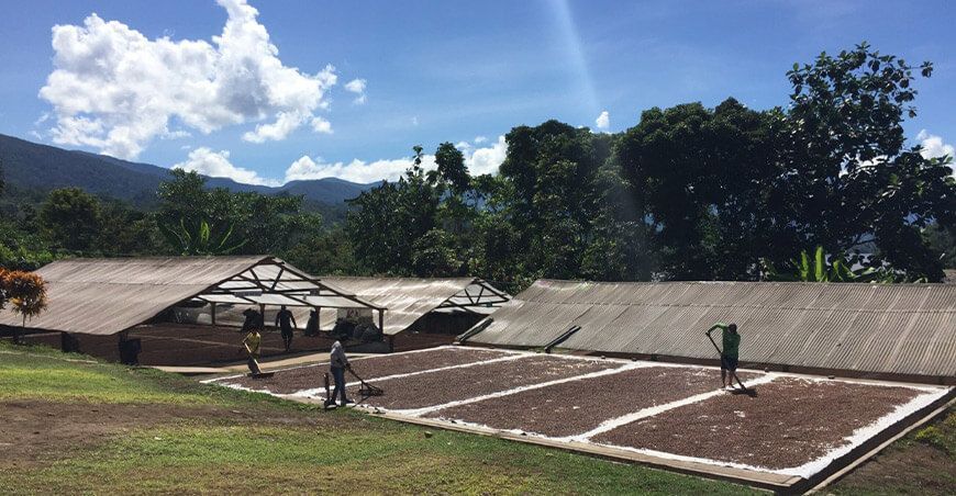 Catalyze Perú, el proyecto que busca movilizar más de US$ 100 millones en la Amazonía