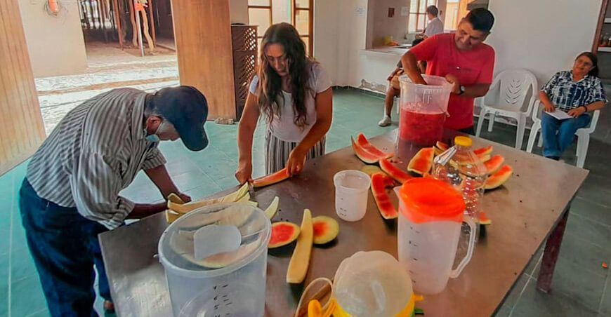 Tacna dan valor agregado fruta confitada a base de la cáscara de sandía