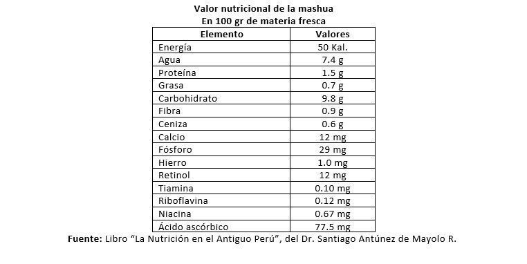 valor nutricional de la mashua negra