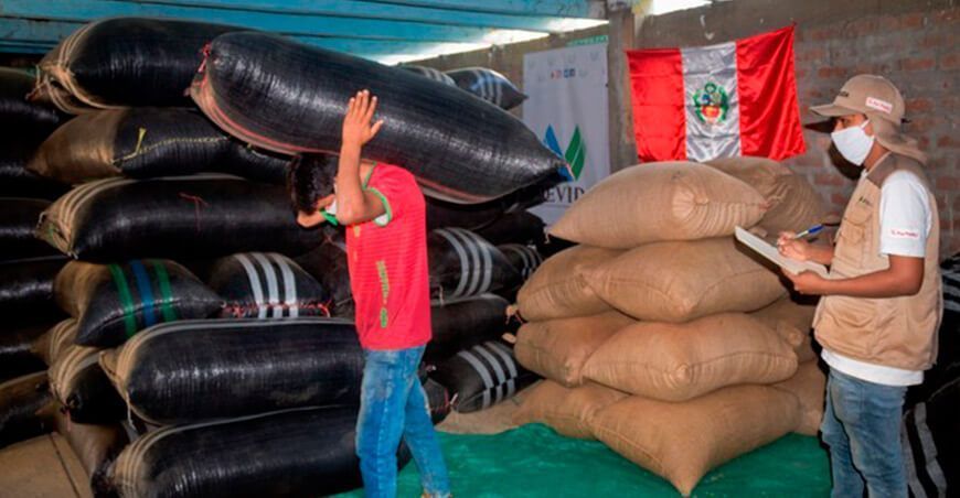 Organizaciones caficultoras logran vender 108.5 toneladas de café