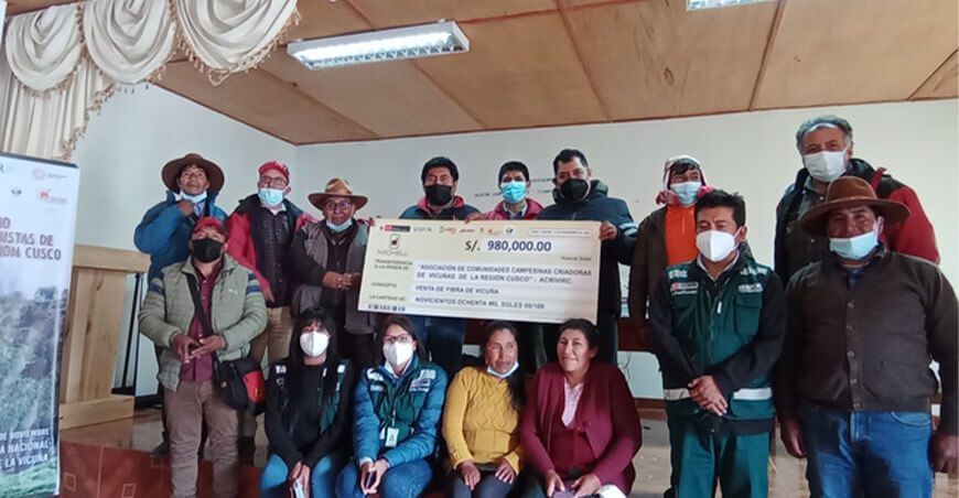 Cusco: comunidades campesinas venden fibra de vicuña por S/ 980,000