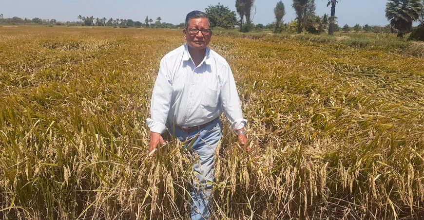 Virgilio Chayán, paradigma del agro lambayecano
