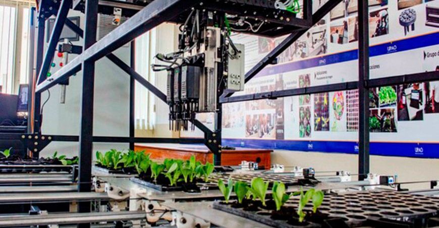 Crean sistema robótico para el control de calidad de plantines en viveros