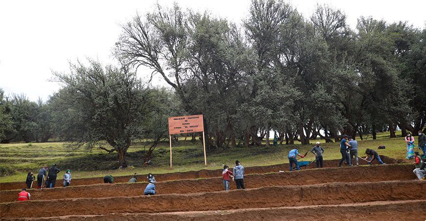 Junín: construyen vivero forestal en la comunidad de Paccha