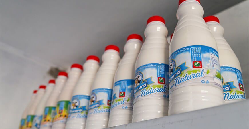 Impulsan industrialización de la leche en Juliaca