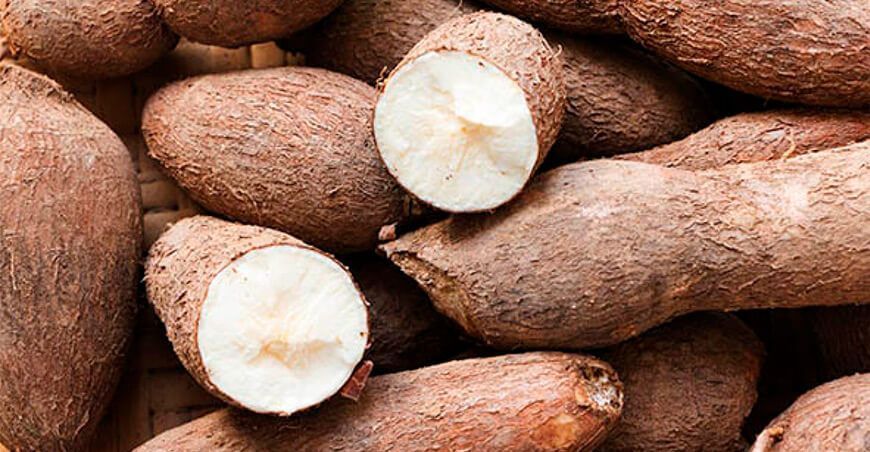 yuca valor nutricional 