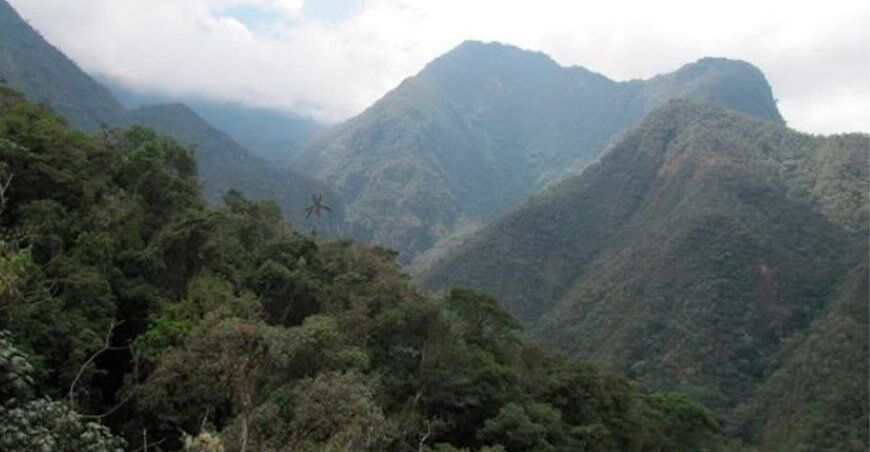 Amazonas avanza con la zonificación forestal de su territorio
