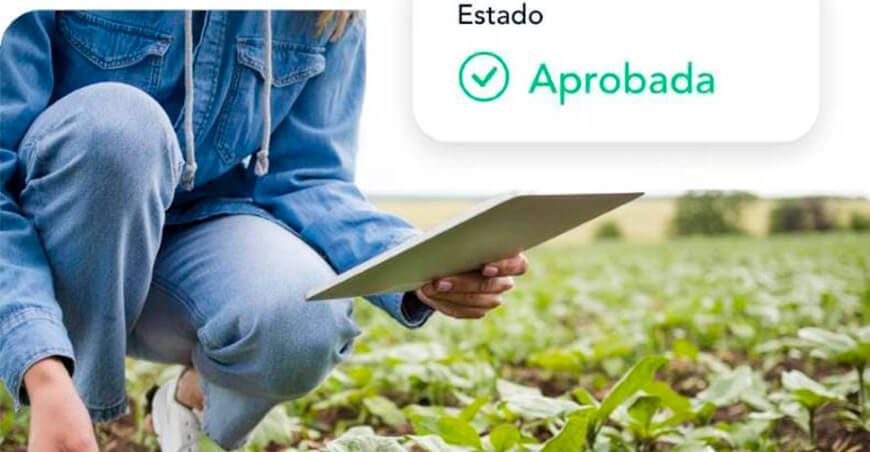 Startup peruana usa la tecnología blockchain para promover la agroexportación sostenible al mundo