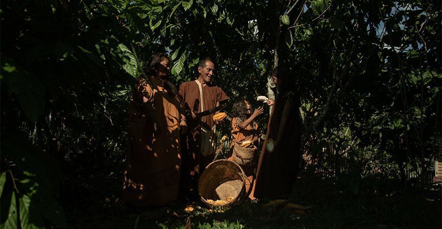 comunidades y pueblos indígenas protegen y conservan la biodiversidad productores cacao